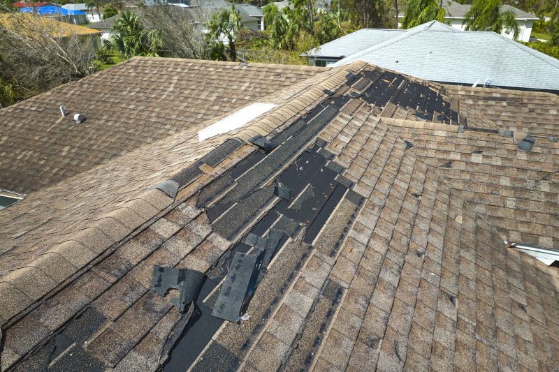 Roof Repairs